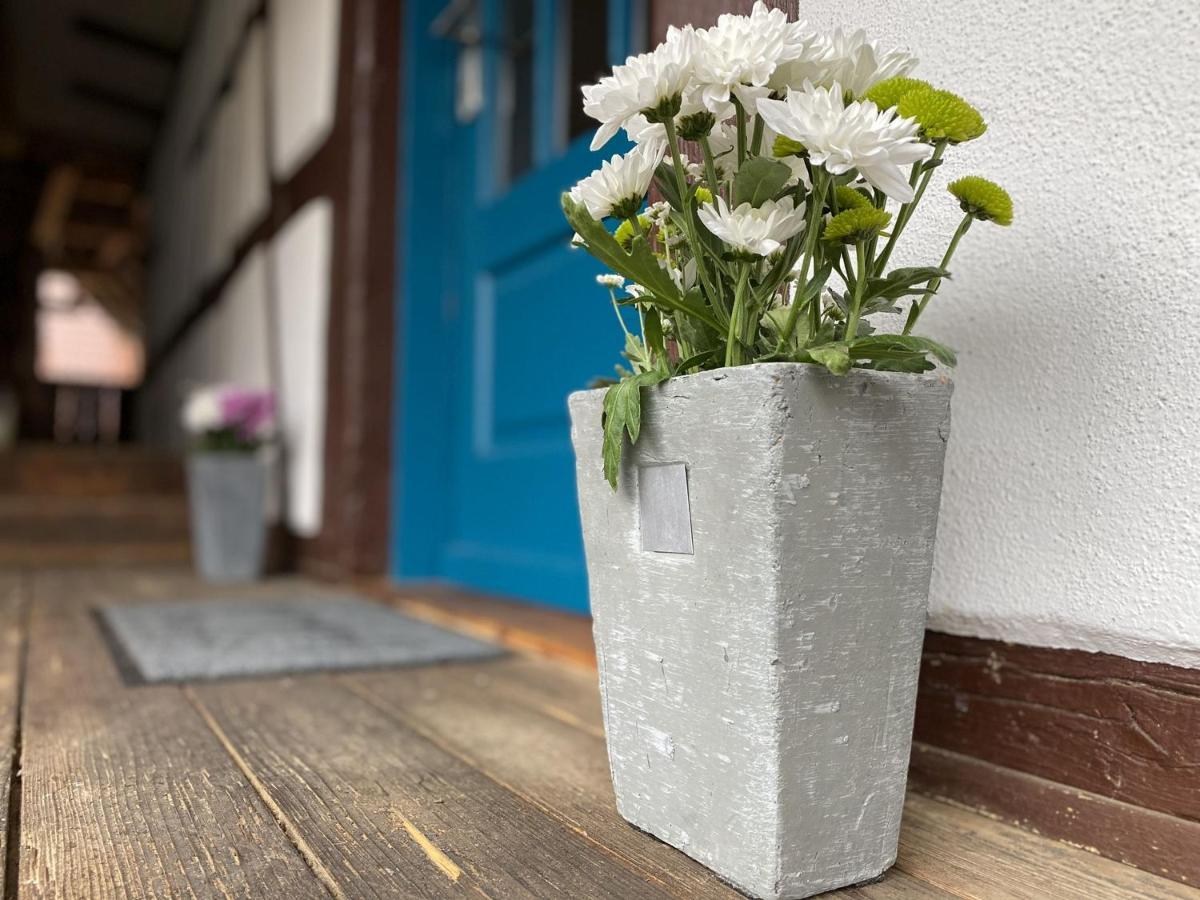 Traumhaft Wohnen Im Haus Blum Apartment Herbolzheim Exterior foto