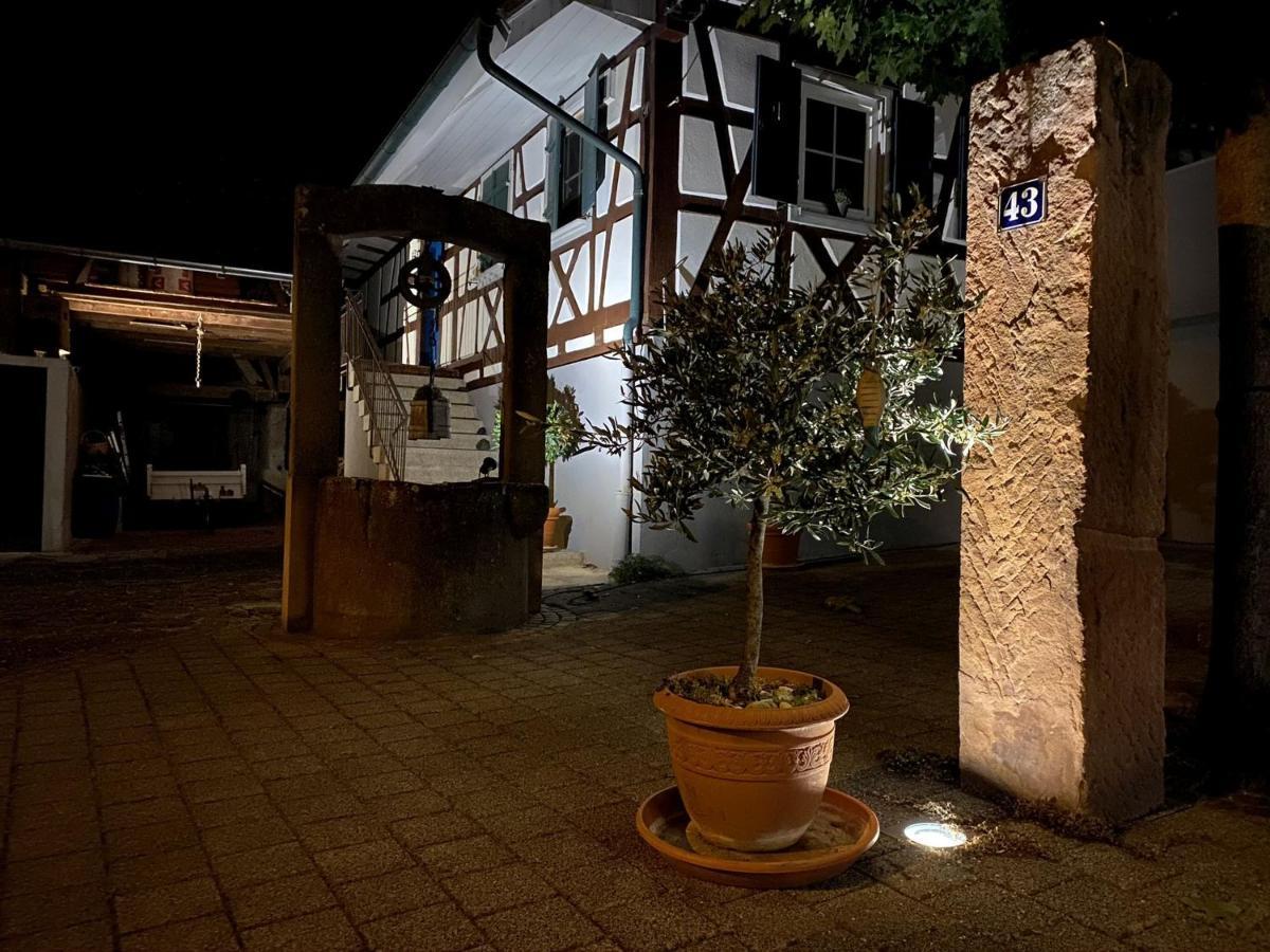 Traumhaft Wohnen Im Haus Blum Apartment Herbolzheim Exterior foto